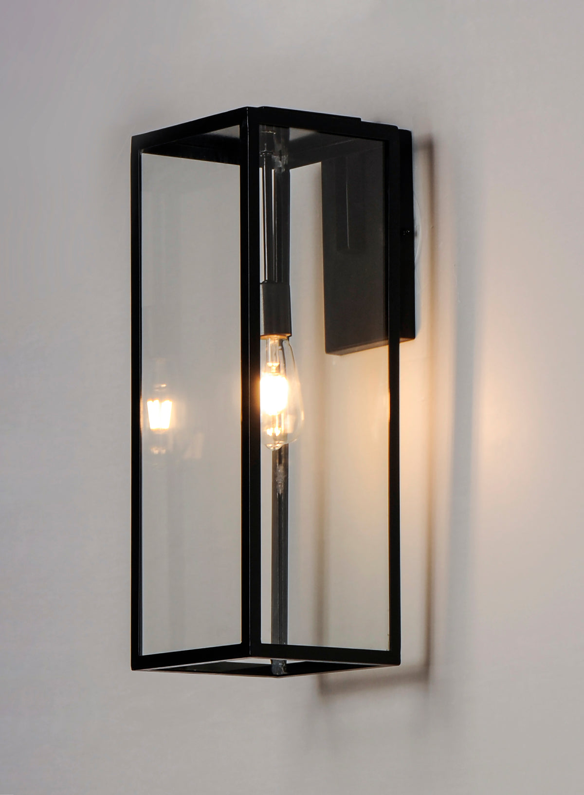 Catalina 1-Light Medium Outdoor Wall Sconce