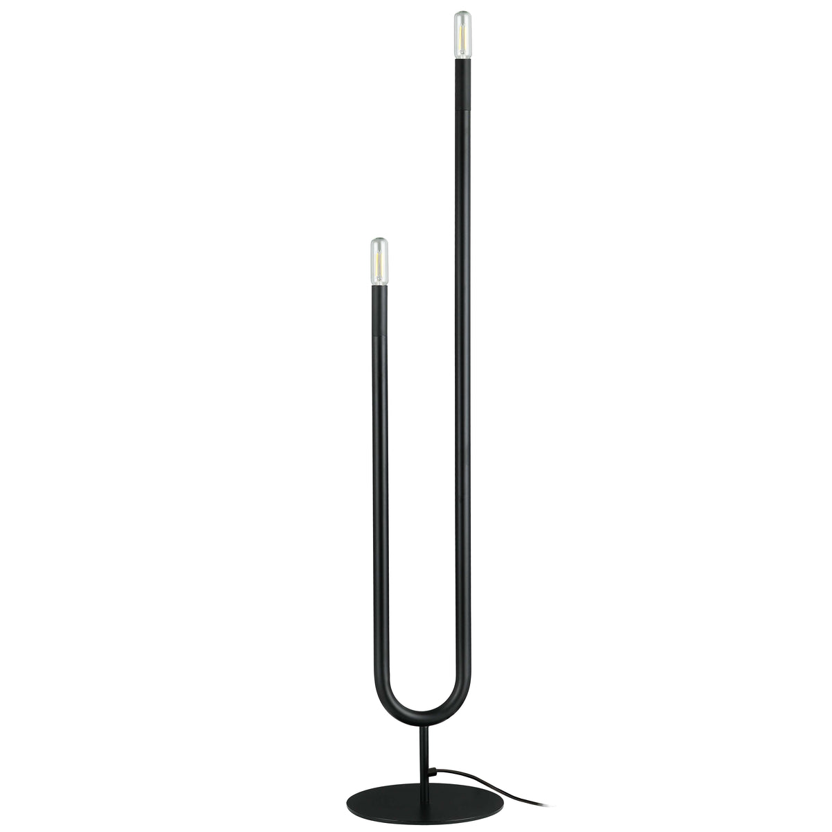 2LT Incandescent Floor Lamp